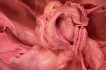 Raspberry Gelato